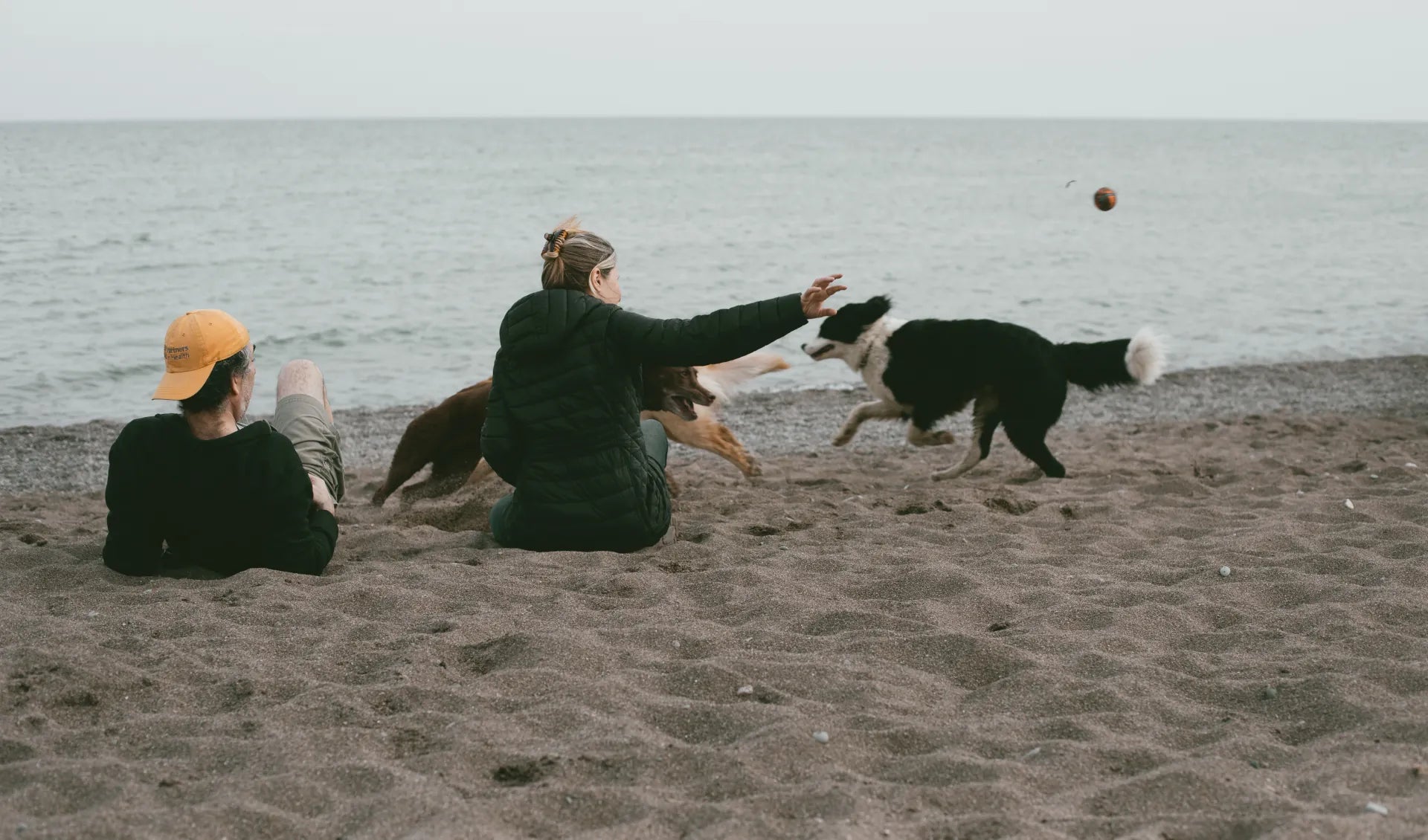 Two people sitting on a beach with dogs playing fetch.
